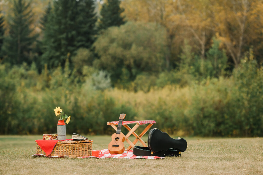 Set up of a portable music set catered for adults